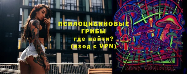 соль курить ск Дмитриев