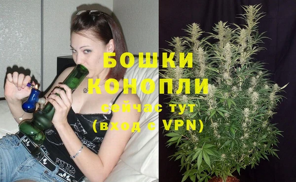 соль курить ск Дмитриев