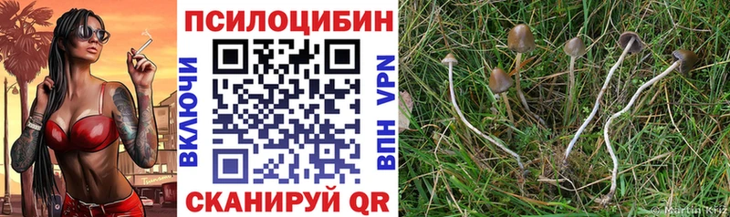 mega ССЫЛКА  где найти   Игарка  Галлюциногенные грибы мухоморы 